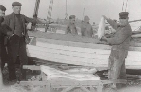 Unloading Cod c1900 P634