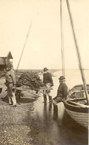 Carrying Sprats ashore  - early 1900s