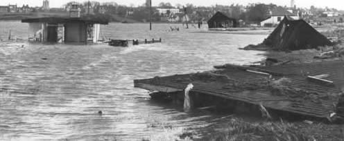 The marsh behind Ferry Road