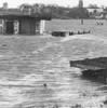 The marsh behind Ferry Road