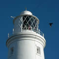 Southwold Lighthouse