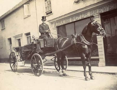 Horse and trap outside Adnams in about 1900